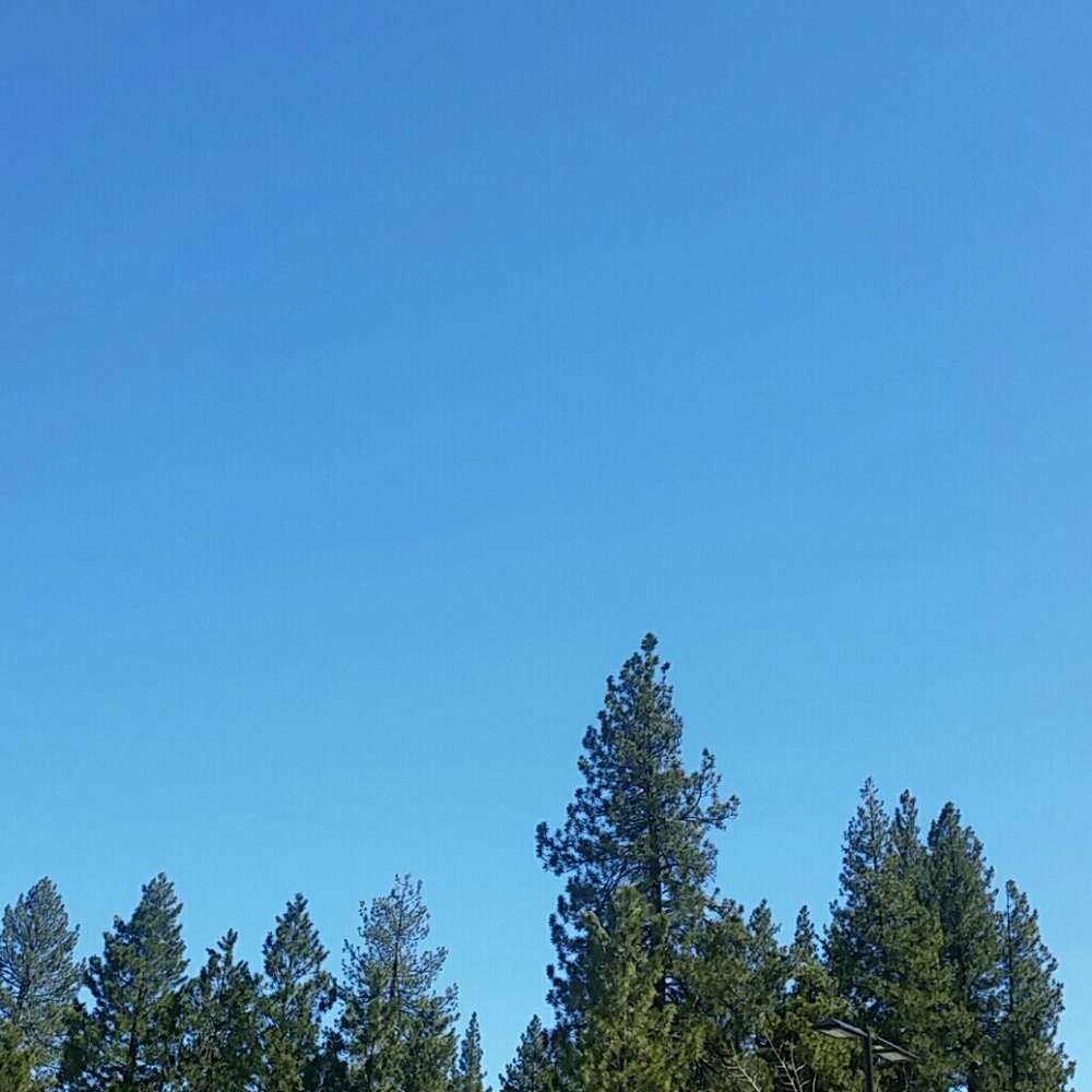 Meet your Posher, MB